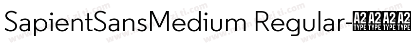 SapientSansMedium Regular字体转换